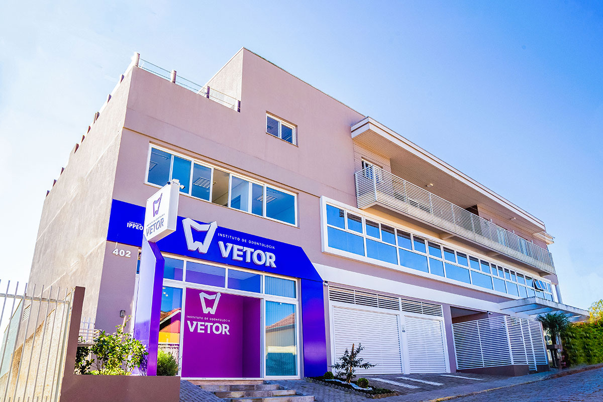 Instituto Vetor